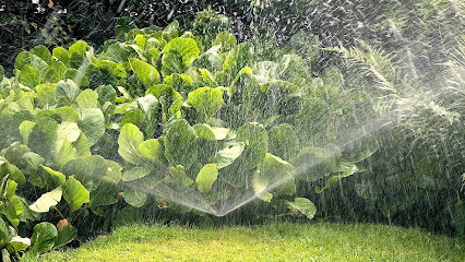Flow Grow Irrigation, London