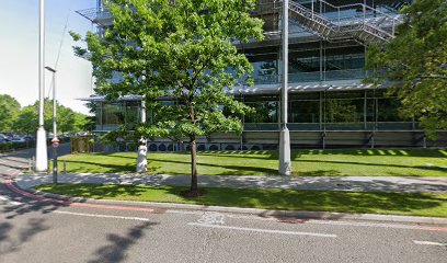 Oasis Umbrella Ltd - Umbrella Company ir35 - Umbrella Paye Company London