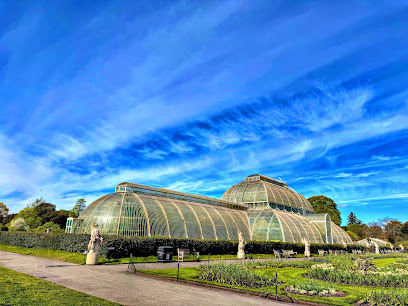 Palm House, London