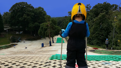 Brentwood Park Ski & Snowboard Centre, London