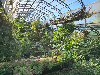 London Butterfly Gardens