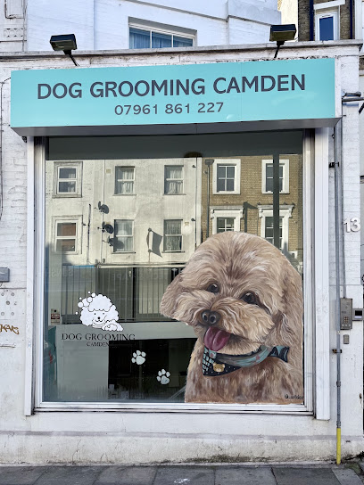 Dog Grooming Camden, London
