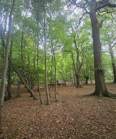 Epping Forest Visitor Centre at High Beech, London