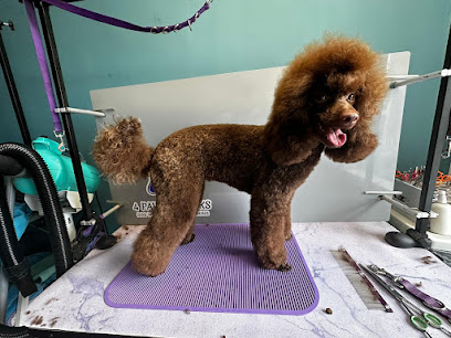 4 Paws Dog Stylist, London