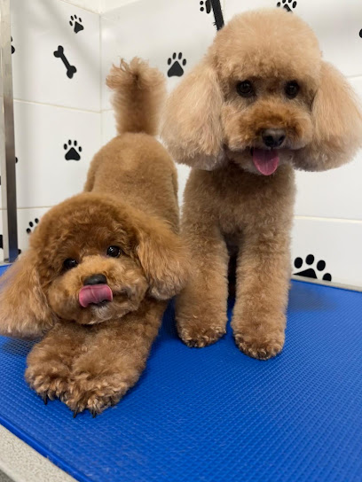 Pawlour Spa - Dog Groomers, London