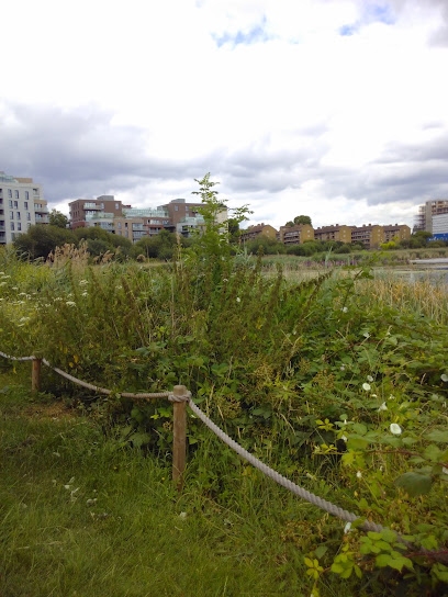 East Reservoir, London