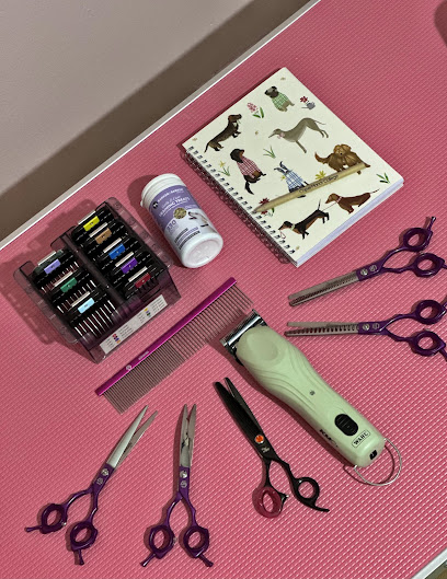 Dog Grooming By Taisa, London